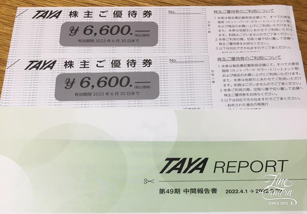 入園入学祝い 美容室 株主優待券 6600円券 2枚 TAYA その他